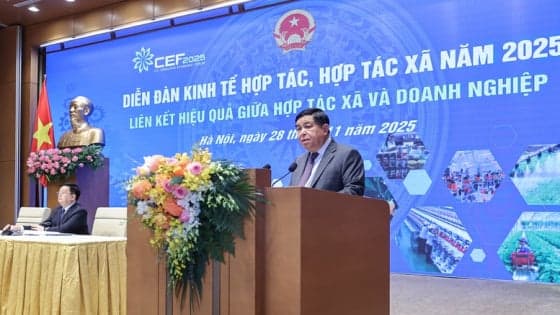 Liên kết hợp tác xã và doanh nghiệp khơi thông tiềm năng nông nghiệp