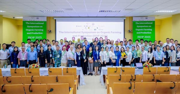 Nông nghiệp hữu cơ: Hướng đi bền vững cho Đồng bằng sông Cửu Long