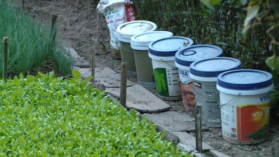 Vòng đời mới của rác hữu cơ