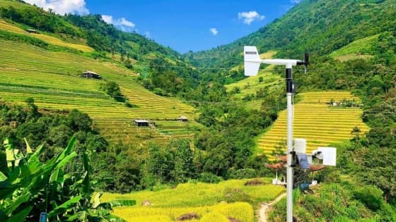 Số hóa công tác dự tính, dự báo sâu bệnh hại
