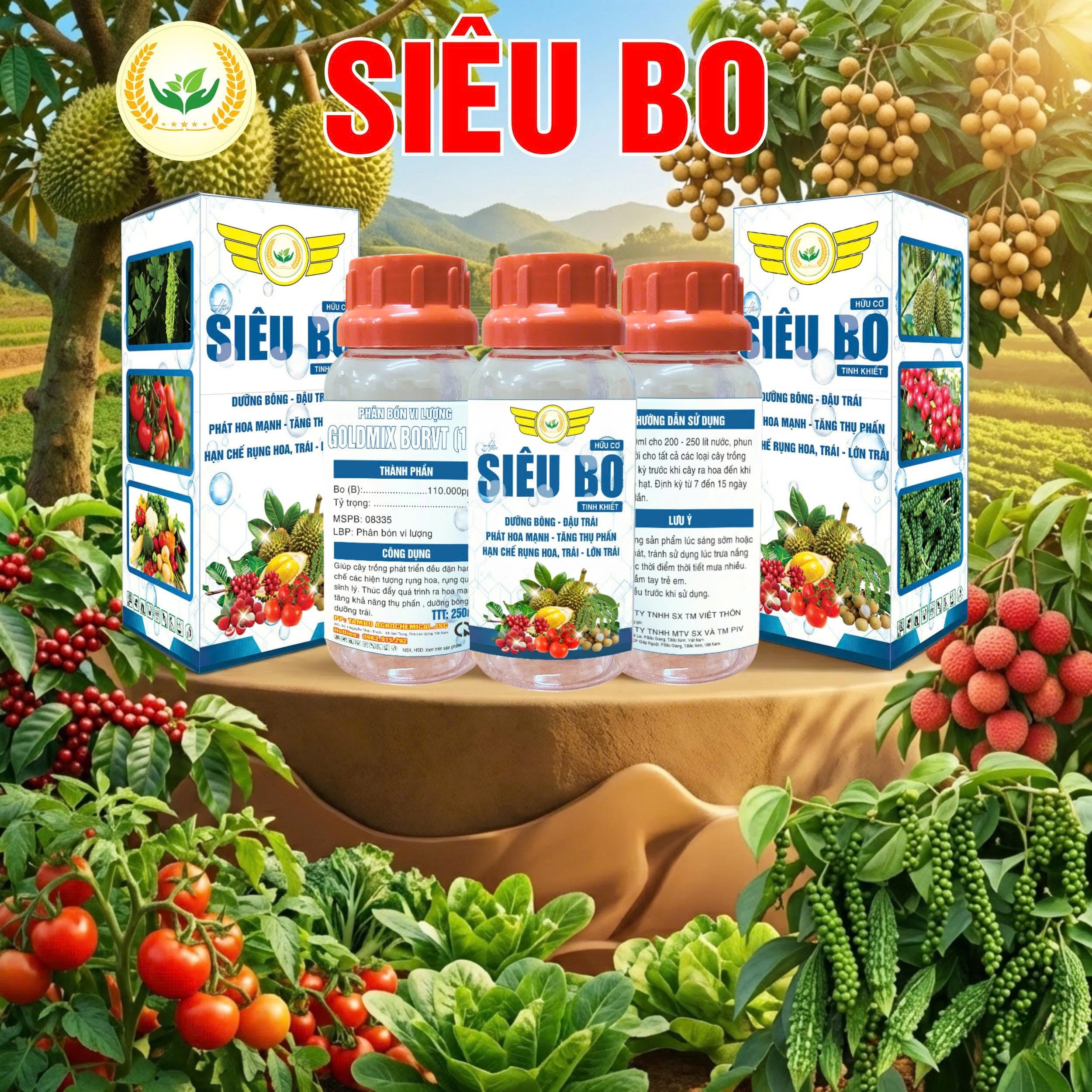 SIÊU BO